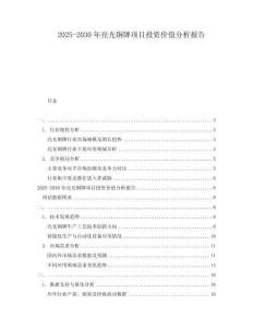 2025-2030年亮光銅牌項目投資價值分析報告