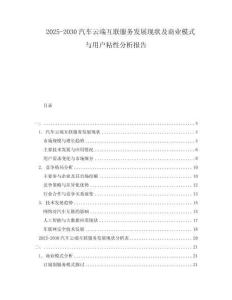 2025-2030汽車云端互聯(lián)服務(wù)發(fā)展現(xiàn)狀及商業(yè)模式與用戶粘性分析報告