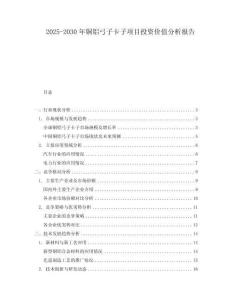 2025-2030年銅鋁弓子卡子項目投資價值分析報告