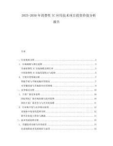 2025-2030年消費性IC應用技術項目投資價值分析報告