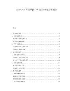 2025-2030年星形扳手項目投資價值分析報告