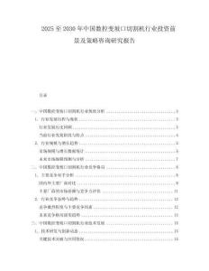 2025至2030年中國數(shù)控變坡口切割機行業(yè)投資前景及策略咨詢研究報告