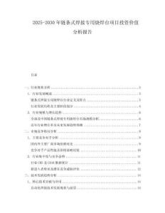 2025-2030年鏈條式焊接專用燒焊臺項目投資價值分析報告