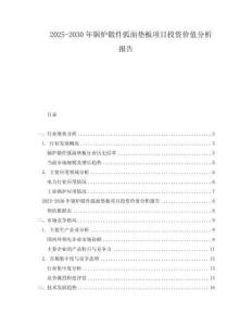 2025-2030年鍋爐鍛件弧面墊板項目投資價值分析報告