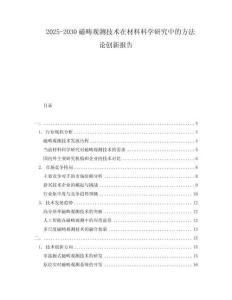 2025-2030磁疇觀測技術在材料科學研究中的方法論創新報告