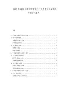 2025至2030年中國菠蘿脆片行業投資前景及策略咨詢研究報告