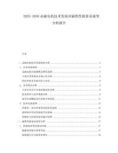 2025-2030永磁電機技術發展對磁鐵性能要求演變分析報告
