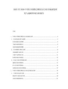 2025至2030中國凸形潛孔錘鉆頭行業市場深度研究與戰略咨詢分析報告