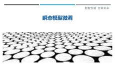 瞬態(tài)模型微調(diào)最佳分析