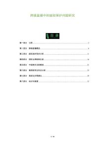 跨境直播中的版權(quán)保護(hù)問題研究-洞察及研究