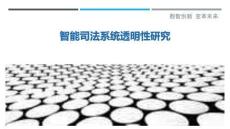 智能司法系統透明性研究最佳分析