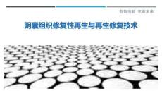 陰囊組織修復性再生與再生修復技術最佳分析