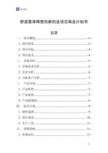 舒適靠背椅墊創(chuàng)新創(chuàng)業(yè)項目商業(yè)計劃書