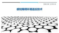 感知障碍环境适应技术最佳分析