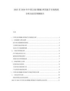 2025至2030年中國(guó)公制(精拋)兩用扳手市場(chǎng)現(xiàn)狀分析及前景預(yù)測(cè)報(bào)告