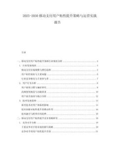 2025-2030移動(dòng)支付用戶粘性提升策略與運(yùn)營(yíng)實(shí)踐報(bào)告