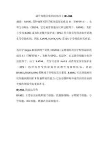 破骨細(xì)胞分化和活化因子RANKL