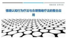 情境認知行為療法與合理情緒療法的整合應用最佳分析