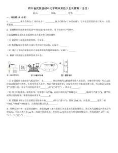 四川省武勝縣初中化學期末測驗大全及答案（全優）