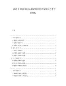 2025至2030牙刷行業深度研究及發展前景投資評估分析