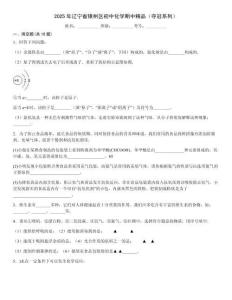 2025年遼寧省銀州區初中化學期中精品（奪冠系列）