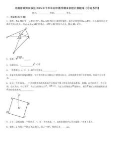 河南省順河回族區(qū)2025年下半年初中數(shù)學期末測驗內(nèi)部題庫【奪冠系列】