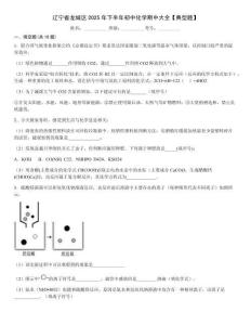 遼寧省龍城區2025年下半年初中化學期中大全【典型題】