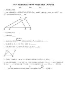 2025年湖南省桃源縣初中數學期中測驗最新題庫【滿分必刷】