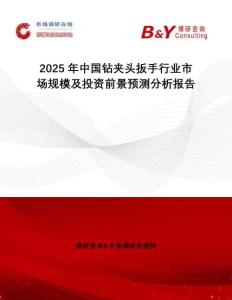 2025年中國鉆夾頭扳手行業市場規模及投資前景預測分析報告