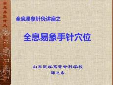 全息易象針灸手針穴位系統(tǒng)