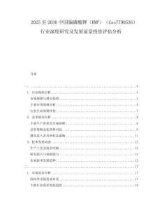 2025至2030中國偏磷酸鉀（KMP）（Cas7790536）行業深度研究及發展前景投資評估分析