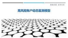 高風險賬戶動態監測模型最佳分析