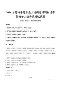 惠州市惠東縣大嶺街道招聘村組干部?jī)?chǔ)備人選筆試真題2024