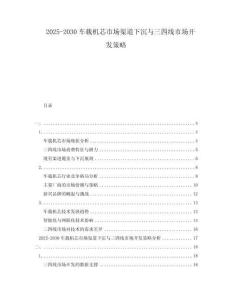 2025-2030車載機芯市場渠道下沉與三四線市場開發(fā)策略