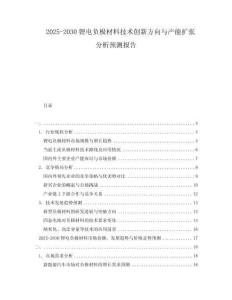 2025-2030鋰電負極材料技術創新方向與產能擴張分析預測報告