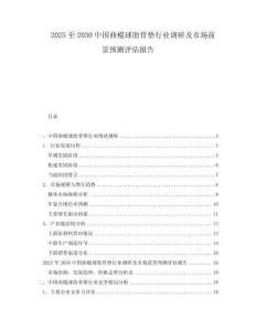 2025至2030中國曲棍球肋骨墊行業調研及市場前景預測評估報告