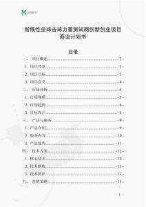 耐候性壘球擊球力量測試網(wǎng)創(chuàng)新創(chuàng)業(yè)項目商業(yè)計劃書