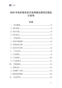 2025年電針脫毛儀行業(yè)跨境出海項目商業(yè)計劃書