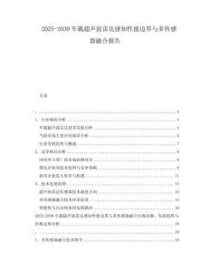 2025-2030車(chē)載超聲波雷達(dá)感知性能邊界與多傳感器融合報(bào)告