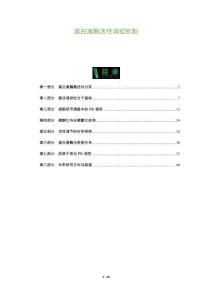 蛋白激酶活性调控机制-洞察及研究