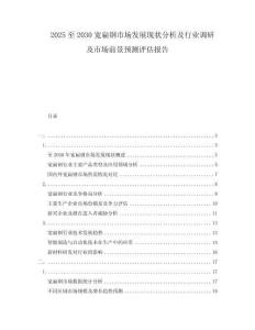 2025至2030寬扁鋼市場發展現狀分析及行業調研及市場前景預測評估報告