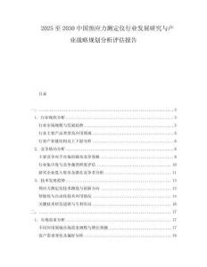 2025至2030中國(guó)預(yù)應(yīng)力測(cè)定儀行業(yè)發(fā)展研究與產(chǎn)業(yè)戰(zhàn)略規(guī)劃分析評(píng)估報(bào)告