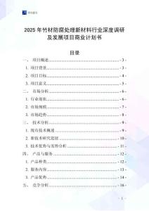 2025年竹材防腐處理新材料行業深度調研及發展項目商業計劃書