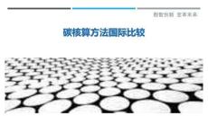 碳核算方法國際比較最佳分析