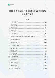 2025年石油鉆采設(shè)備防爆行業(yè)跨境出海項目商業(yè)計劃書