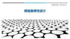 網(wǎng)絡(luò)魯棒性設(shè)計(jì)最佳分析