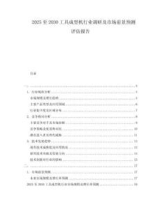 2025至2030工具成型機(jī)行業(yè)調(diào)研及市場前景預(yù)測評估報告