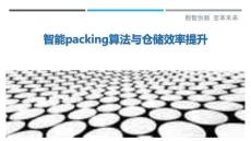 智能packing算法與倉(cāng)儲(chǔ)效率提升最佳分析
