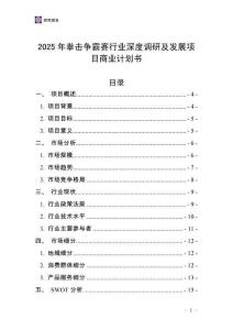 2025年拳擊爭霸賽行業(yè)深度調研及發(fā)展項目商業(yè)計劃書