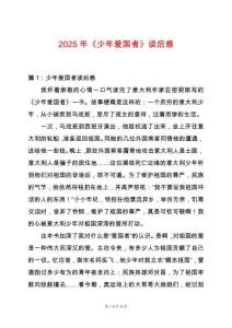 2025年《少年愛國者》讀后感